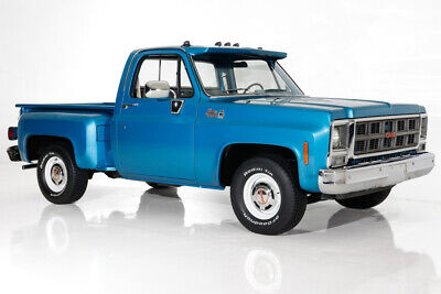 GMC-Pickup-Pickup-1979-6