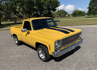 GMC-Sierra-1500-1979-5