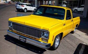 GMC-Sierra-1500-Pickup-1977-5