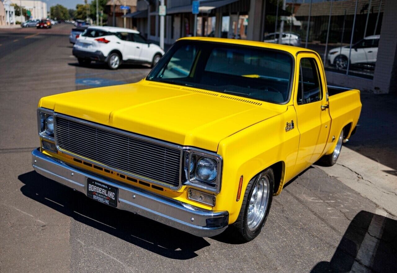 GMC-Sierra-1500-Pickup-1977-5