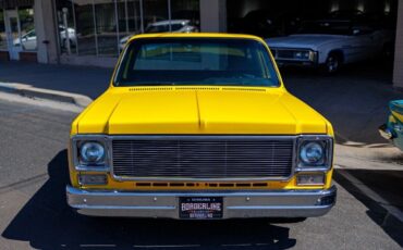 GMC-Sierra-1500-Pickup-1977-6