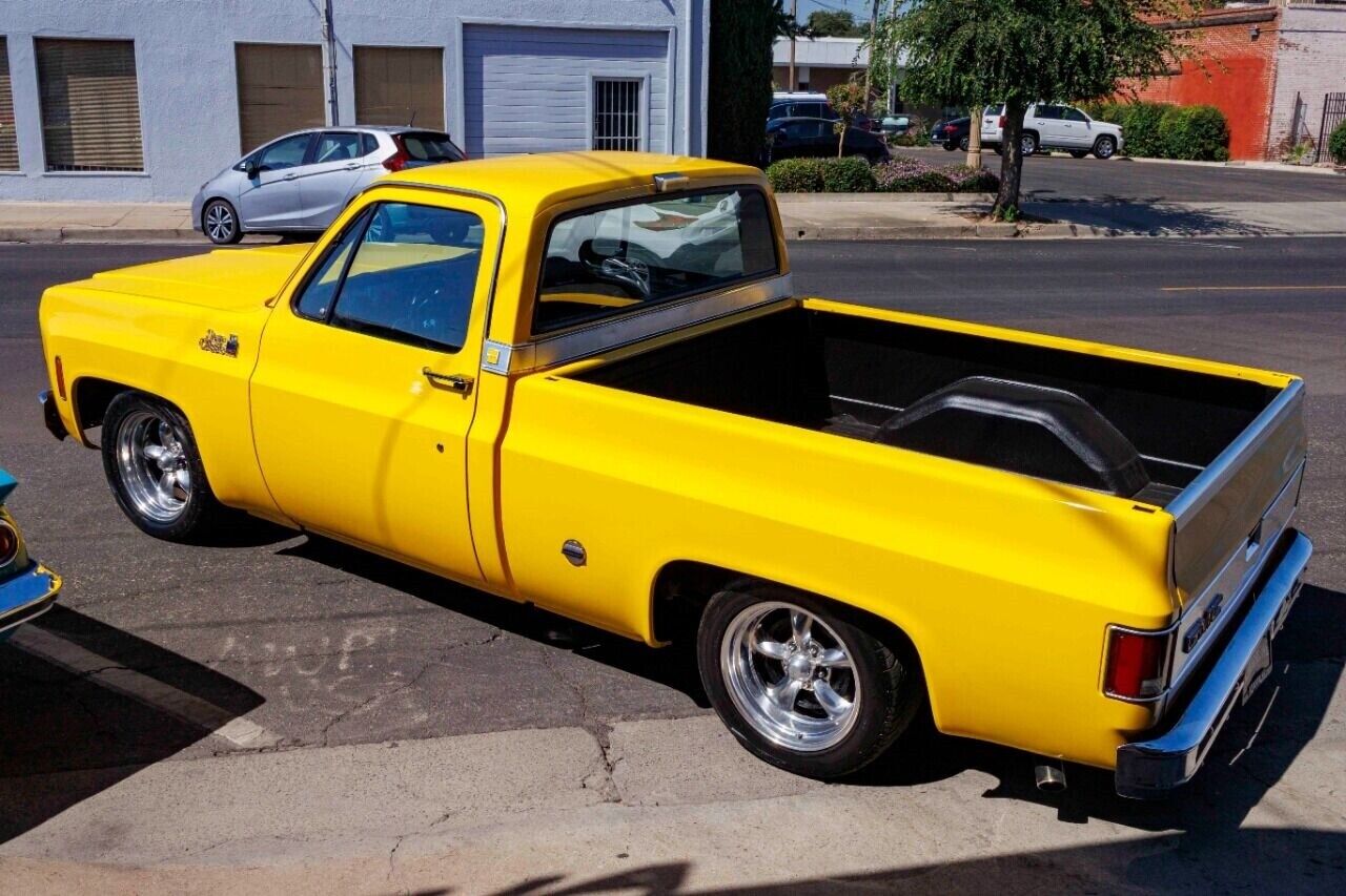 GMC-Sierra-1500-Pickup-1977-7