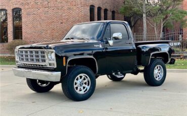 GMC Sierra 1500 Pickup 1978