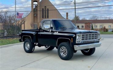 GMC-Sierra-1500-Pickup-1978-4