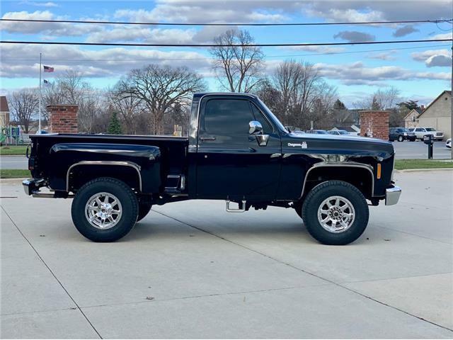 GMC-Sierra-1500-Pickup-1978-5