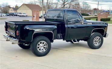 GMC-Sierra-1500-Pickup-1978-6