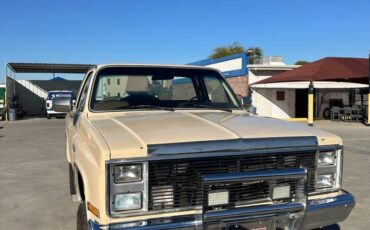 Gmc-Ck-pickup-12-ton-nominal-1985-1