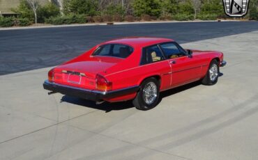 Jaguar-XJS-1983-6