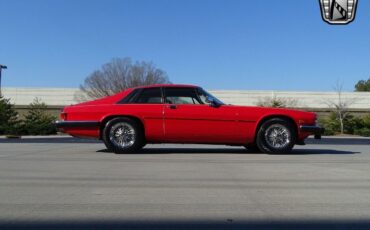 Jaguar-XJS-1983-7