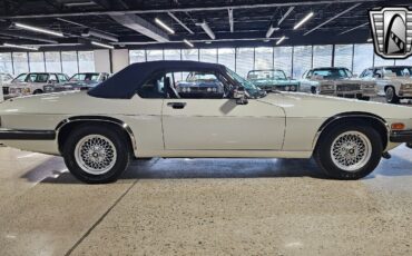 Jaguar-XJS-1990-6