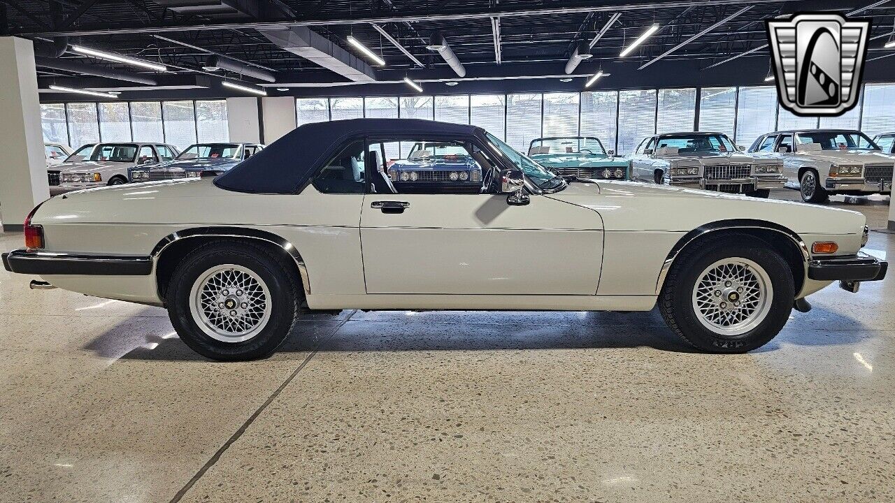 Jaguar-XJS-1990-6