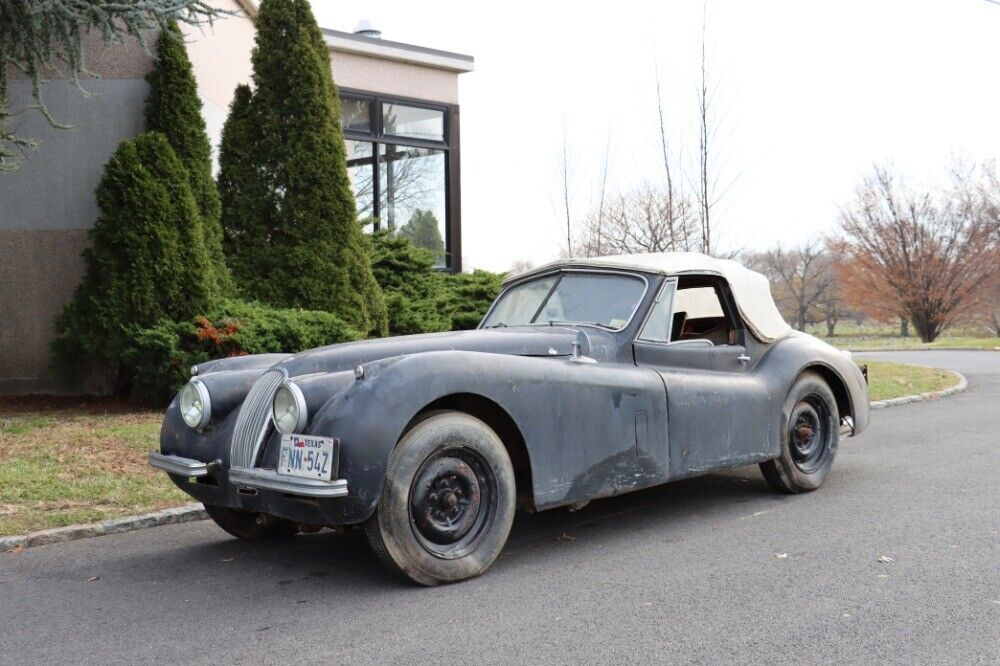 Jaguar-XK-1954-1