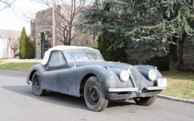 Jaguar XK  1954 à vendre