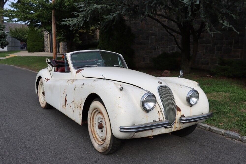 Jaguar XK  1954