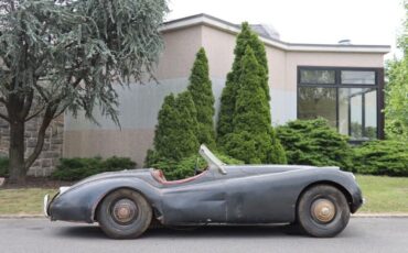 Jaguar-XK120-Roadster-1952-2