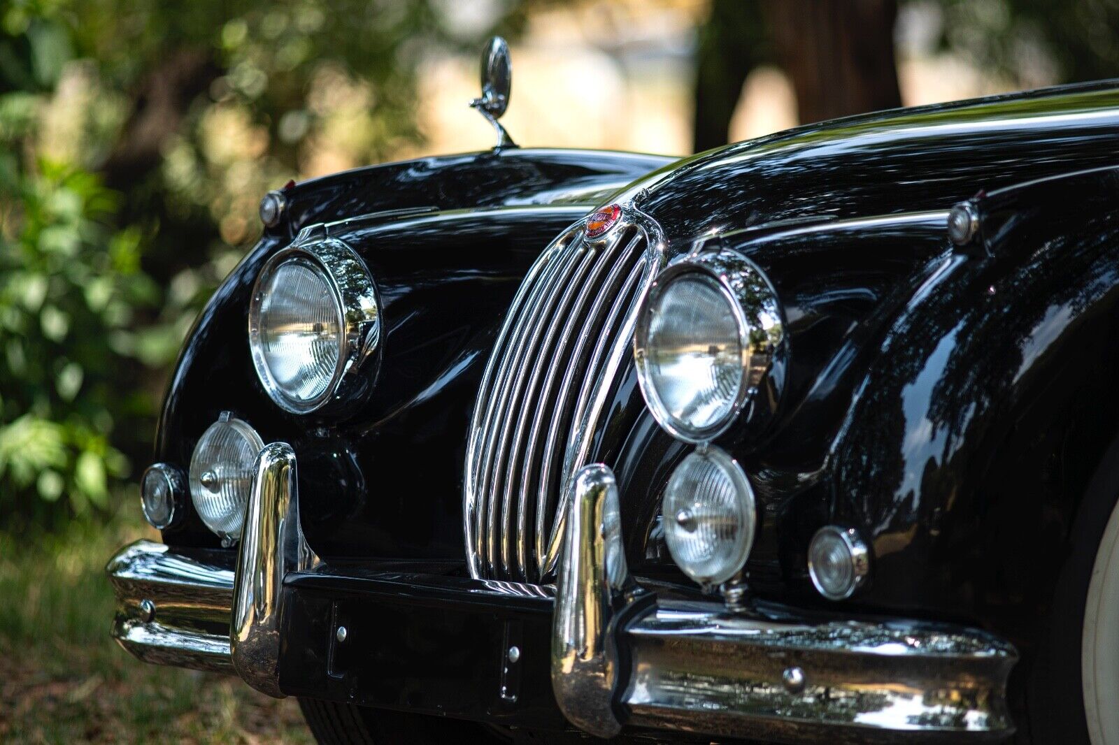 Jaguar-XK140-Cabriolet-1956-10