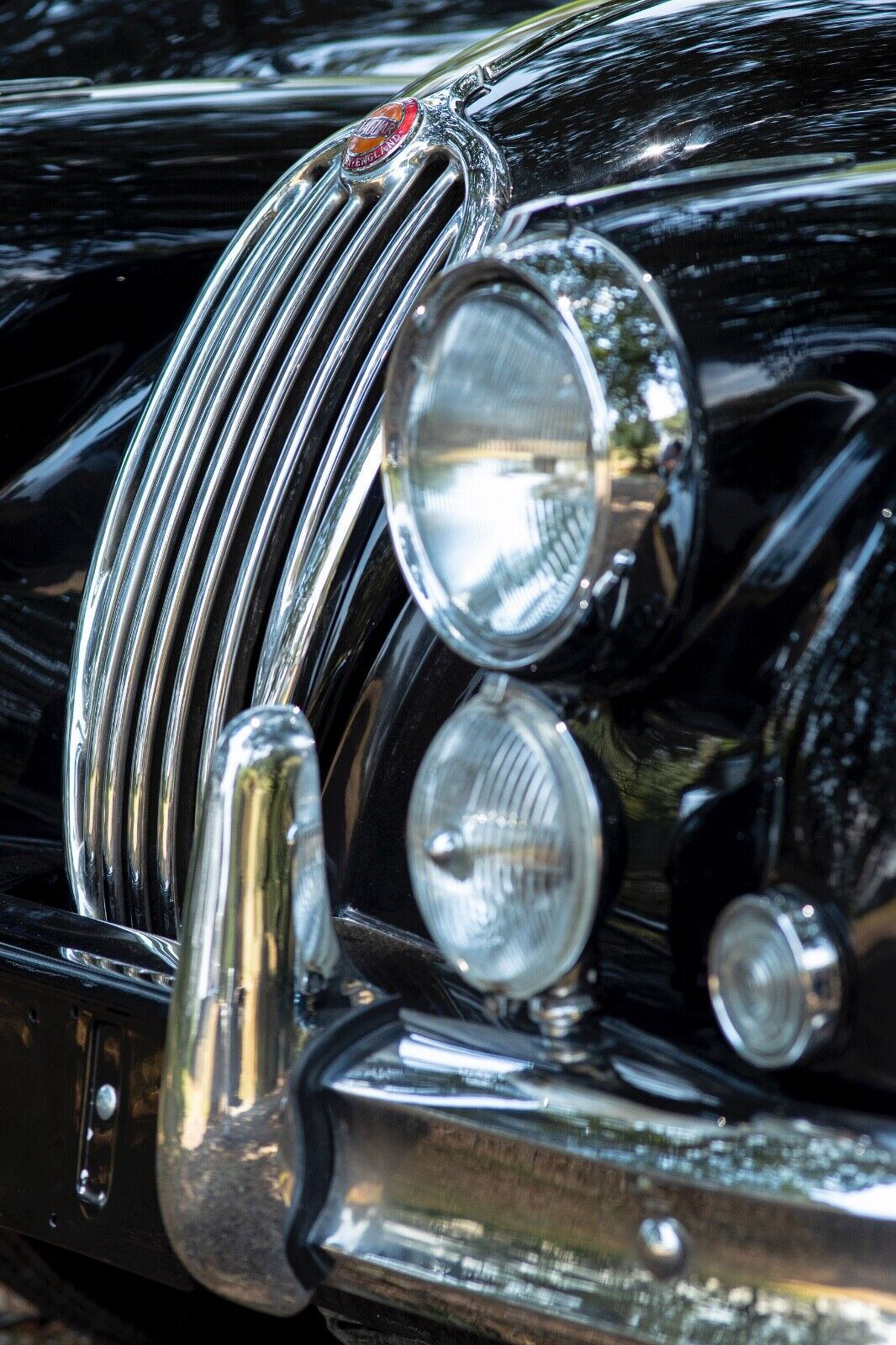 Jaguar-XK140-Cabriolet-1956-11