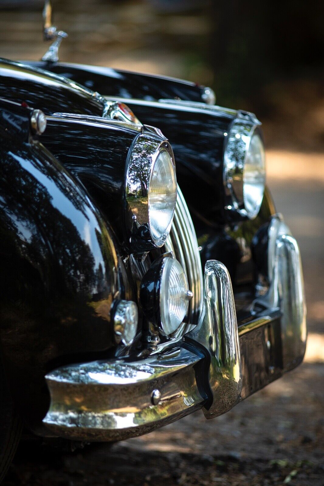 Jaguar-XK140-Cabriolet-1956-13