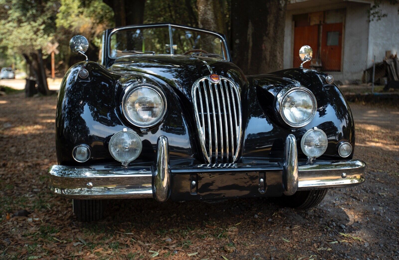 Jaguar-XK140-Cabriolet-1956-19