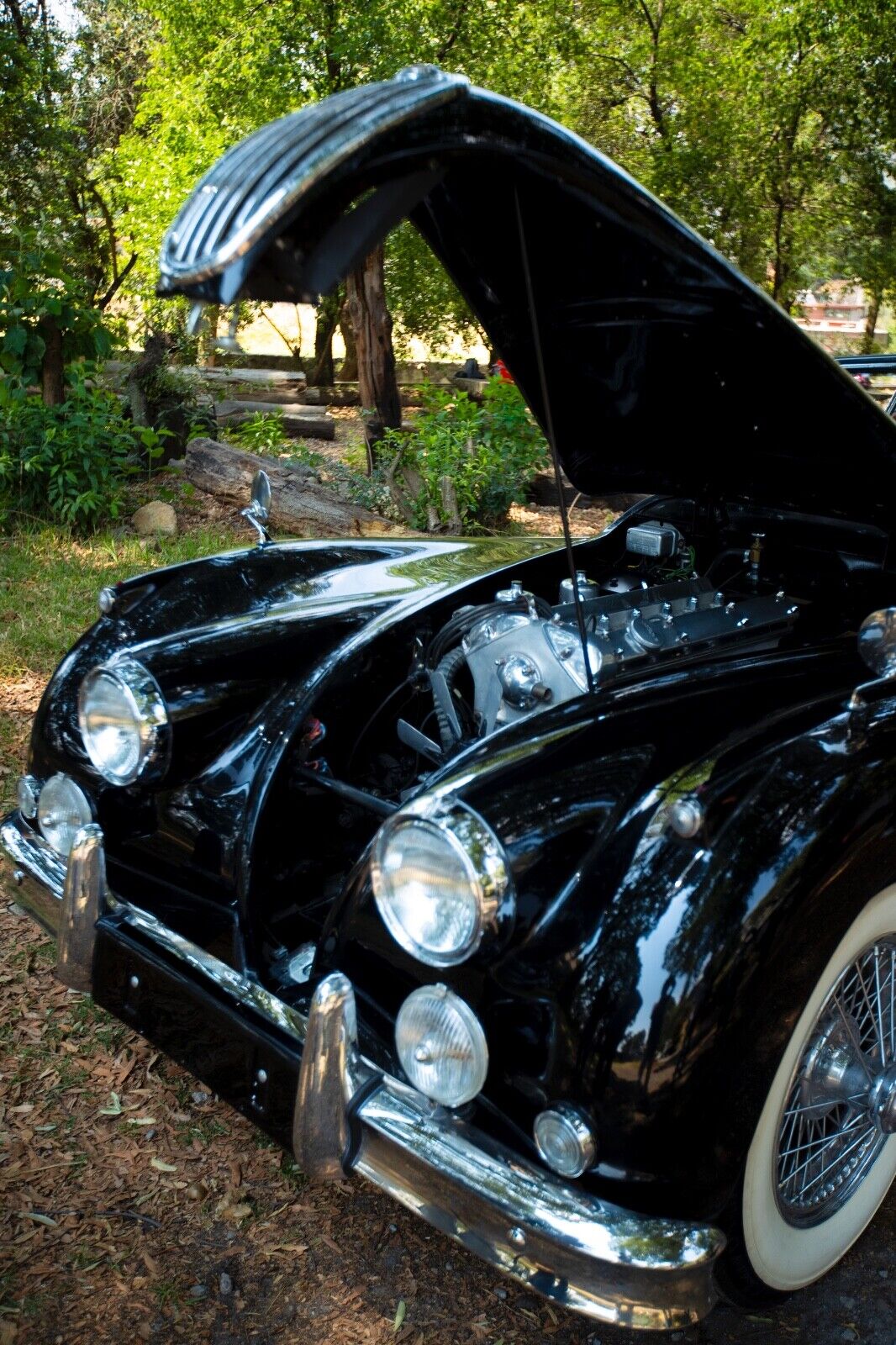 Jaguar-XK140-Cabriolet-1956-20