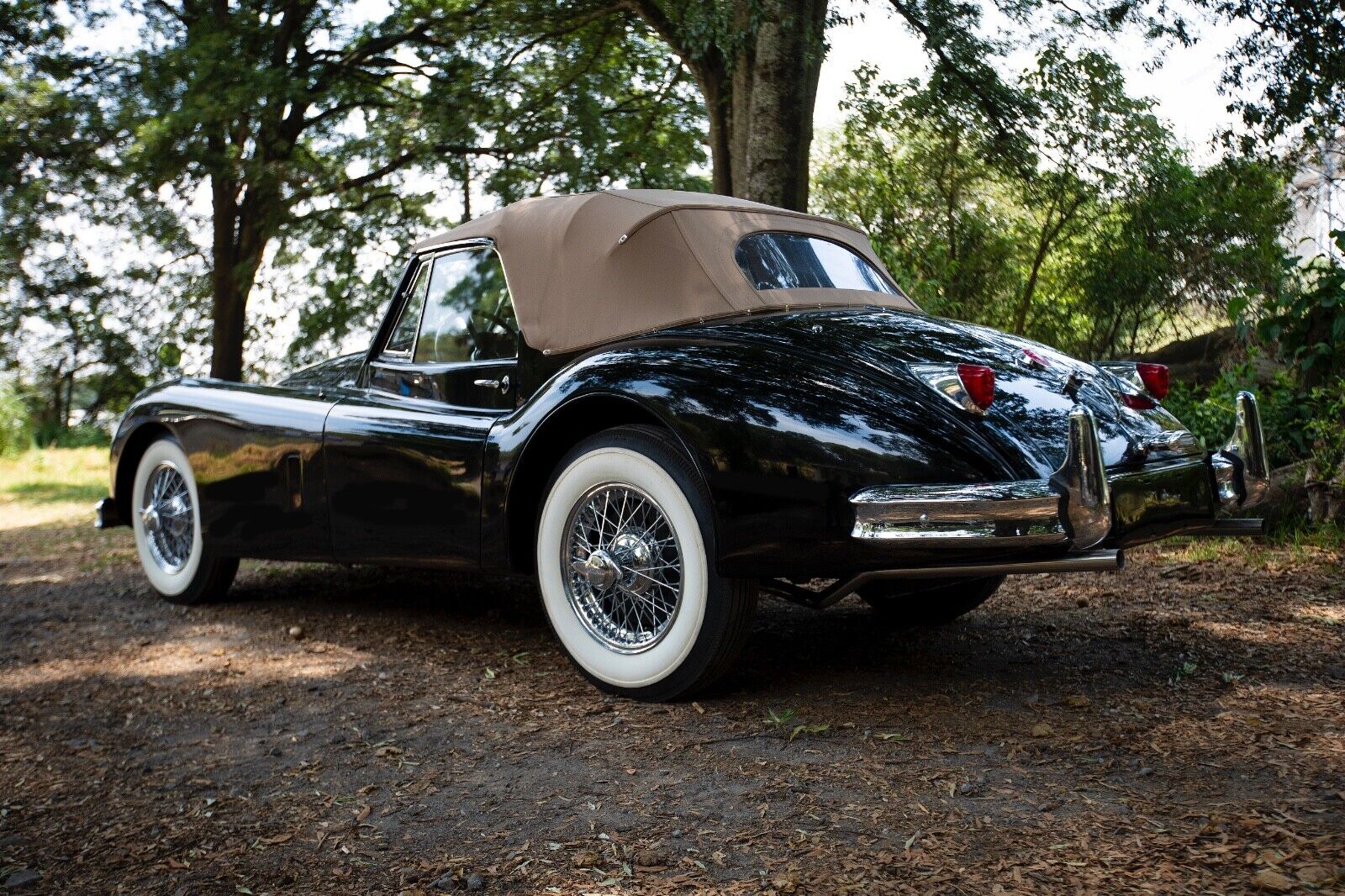 Jaguar-XK140-Cabriolet-1956-6