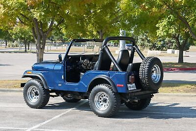 Jeep-CJ-Cabriolet-1976-10