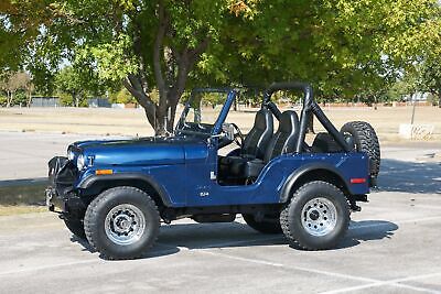 Jeep-CJ-Cabriolet-1976-12