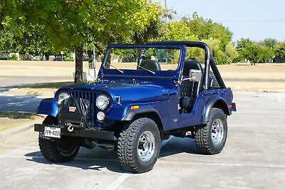 Jeep-CJ-Cabriolet-1976-13