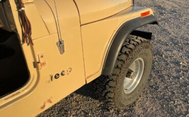 Jeep-CJ-Cabriolet-1977-15