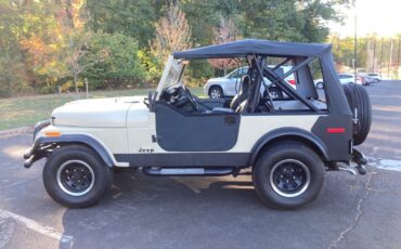 Jeep-CJ-Cabriolet-1979-1