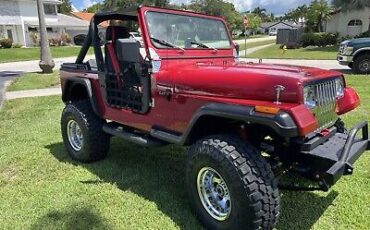 Jeep-CJ-SUV-1985-5