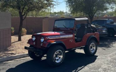 Jeep-Cj5-1974-23