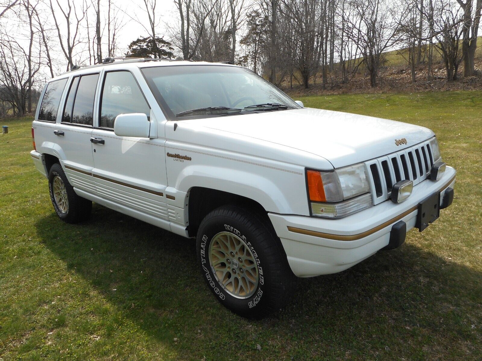 Jeep-Grand-Cherokee-1995-6