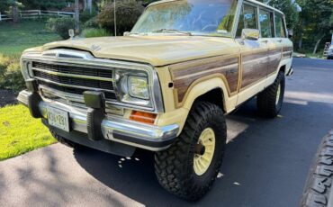 Jeep-Grand-wagoneer-1989-19