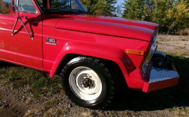 Jeep-J20-Jeep-4X4-Pick-Up-1976-25