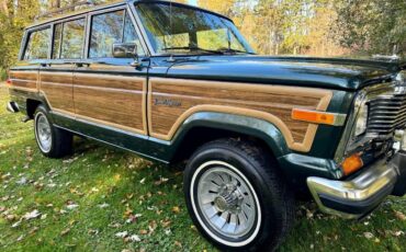 Jeep-Wagoneer-SUV-1984-6