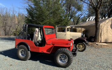 Jeep-Willys-1948-11