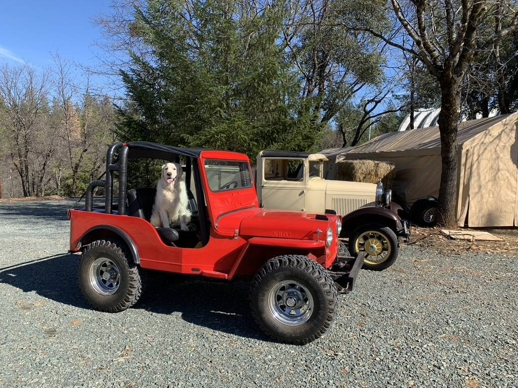 Jeep-Willys-1948-11