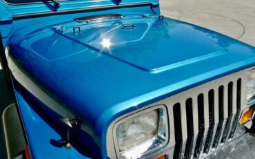 Jeep-Wrangler-1993-17