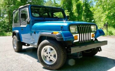 Jeep-Wrangler-1993-9