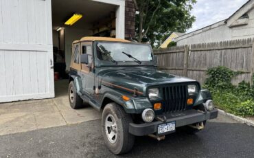 Jeep-Wrangler-1994-5