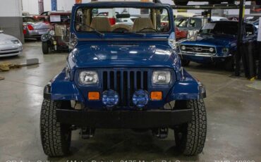 Jeep-Wrangler-1995-10