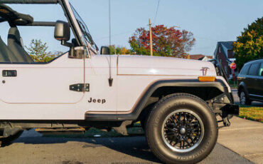 Jeep-Wrangler-SUV-1995-10