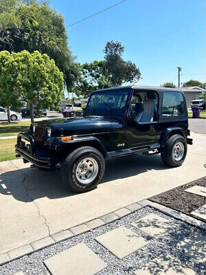 Jeep-Wrangler-SUV-1995-10