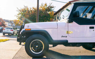 Jeep-Wrangler-SUV-1995-3