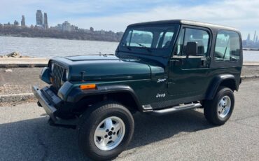 Jeep-Wrangler-yj-1994-1