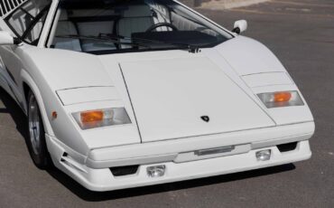 Lamborghini-Countach-Coupe-1989-10