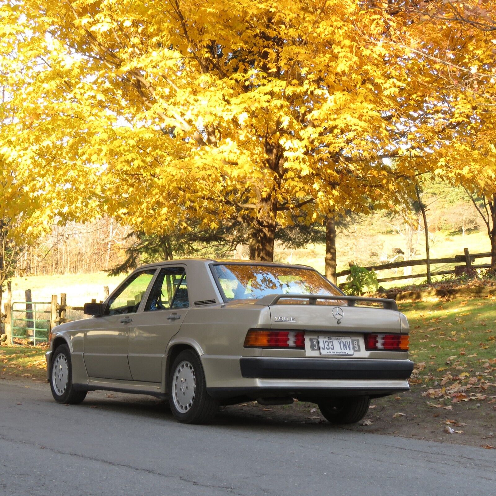 Mercedes-Benz-190-Series-Berline-1986-3