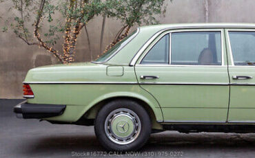 Mercedes-Benz-300-Series-1977-10