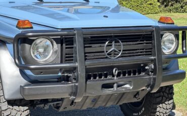 Mercedes-Benz-G-Class-Cabriolet-1990-21